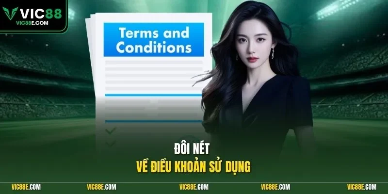 Đôi nét về điều khoản sử dụng